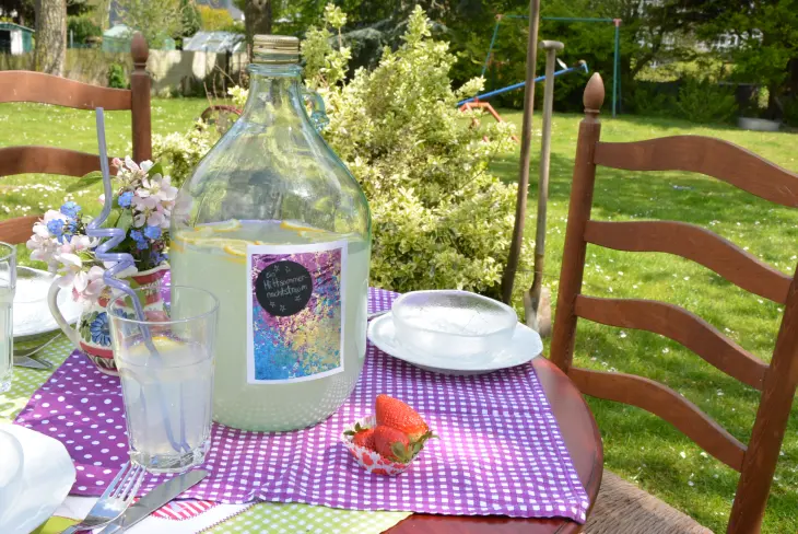 Ein Tisch im Garten, auf dem ein Glas und eine Karaffe gefüllt mit Limonade stehen.