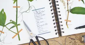 Etiketten für Herbarium ✿ kostenlos downloaden ➤ bei Schmidt & Kurtze aus Karlstadt und Lengfeld