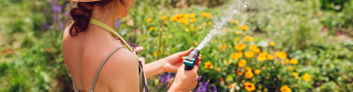 Frau mit Strohhut gießt bunte Blumen im Garten mit einem Gartenschlauch. 