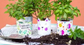 Wir zeigen Ihnen, wie Sie mit Permanentmarkern hübsche DIY-Übertöpfe für Kräuter gestalten können. Mehr dazu bei Bovensiepen in Mettmann und im Onlineshop.