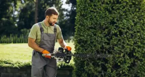 Gartenpflege leicht gemacht: Tipps zu Rasenpflege, Heckenschnitt und Baumschnitt für gepflegte Außenanlagen. Jetzt Profi-Werkzeuge & Zubehör bei Carl Schmidt entdecken.