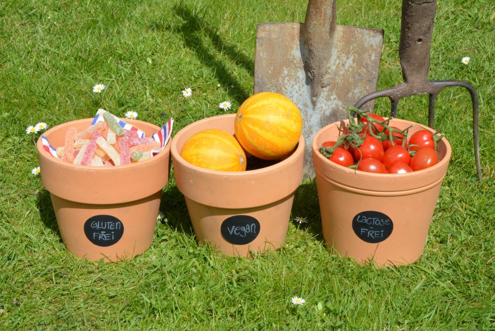 Im Gras stehen 3  Tontöpfe. Auf dem ersten ist ein Etikett mit der Aufschrift "Glutenfrei" aufgeklebt und es befinden sich saure Pommes darin. Auf dem zweiten Topf klebt ein Etikett mit der Aufschrift "vegan", darin sind kleine gelbe Kürbisse enthalten. Auf dem dritten Topf ist ein Etikett aufgeklebt mit der Aufschrift "lactosefrei" und dieser Topf ist mit Tomaten gefüllt. Alle Etiketten sind von der Marke Avery Zweckform.