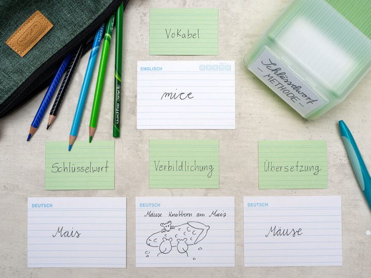 Auf einem hellgrauen Betonuntergrund liegen kleine grüne und etwas größere weise Karteikarten von Herlitz. Sie erklären die Schlüsselwortmethode. In der linken oberen Ecke sieht man ein dunkelgrünes Schlampermäppchen, aus dem verschiedene Stifte in Grün- und Blautönen herausschauen. In der rechten, oberen Ecke steht ein grüner Karteikasten. Darunter liegt ein türkisfarbener Kugelschreiber. Foto: Johanna Rundel 