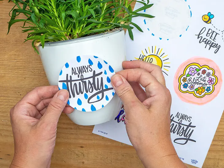 Jemand klebt einen – mit dem Lettering „Always Thirsty“ bedruckten  – Aufkleber von Avery Zweckform auf einen grünen Blumenübertopf. Foto: Johanna Rundel)