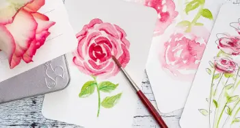 Rose malen für Anfänger: Wir zeigen Ihnen, wie Sie eine Rose malen – Bei Engler in Rheinbach und im Onlineshop finden Sie alles für Ihre Umsetzung.