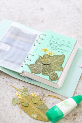 Notizseite mit eingeklebten Blättern und gelben Blumen