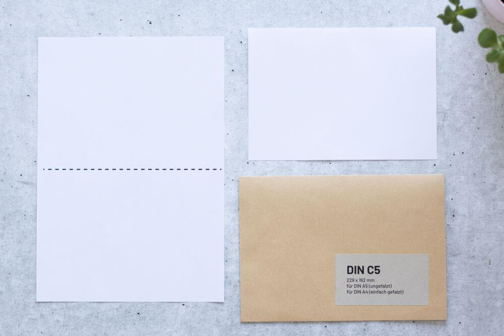 Auf grauem Grund liegt ein DIN A4-Papier mit einer gestrichelten Markierung in der Mitte, ein DIN A5-Papier und eine dazu passende Versandtasche DIN C5. Auf der Versandtasche ist ein Aufkleber aufgebracht mit folgenden Infos: DIN C5, 229x162 Millimeter, für DIN A5 (ungefalzt), für DIN A4 (einfach gefalzt). Rechts oben ragt der Teil einer Pflanze ins Bild.
