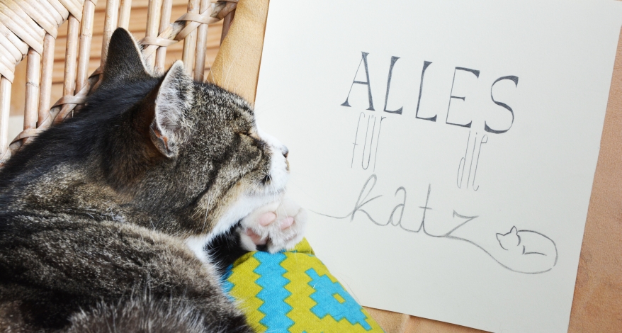 Eine Katze liegt schlafend auf einem Stuhlr. Vor ihr steht ein gelettertes Blatte mit dem Text "Alles für die Katz".