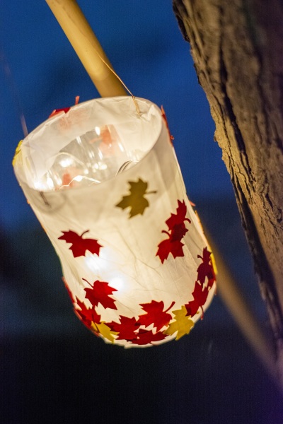 Leuchtende Laterne mit roten und gelben Ahornblättern an einem Ast in der Dunkelheit.