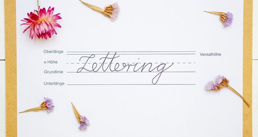 Auf einem weißen Papier sind die klassischen Hilfslinien für Handlettering gezeichnet. Die einzelnen Linien werden mit Begriffen erklärt. Auf den Zeilen ist das Wort Lettering zu lesen. Drumherum sind einzelne Blüten arrangiert. Foto: Johanna Rundel