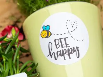 Auf einem hellgrünen Blumenübertopf klebt ein runder Aufkleber von Avery Zweckform auf den „Bee Happy“ und eine Biene gelettert wurde. Foto: Johanna Rundel