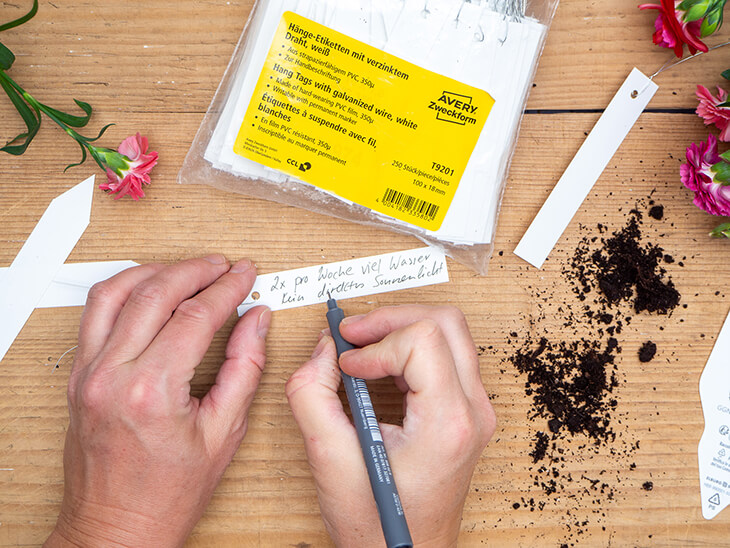 Jemand schreibt einen Pflegehinweis auf ein weißes Pflanzenetikett von Avery Zweckform. Foto: Johanna Rundel