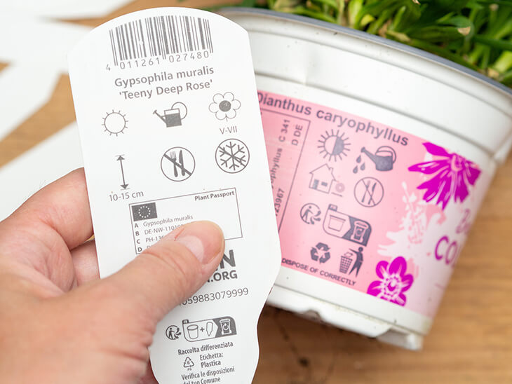 Jemand hält eine Pflanzenetikett mit Pflegehinweis-Symbolen in die Kamera. Im Hintergrund ist ein Blumentopf mit aufgedruckten Hinweis-Symbolen zu sehen. Foto: Johanna Rundel