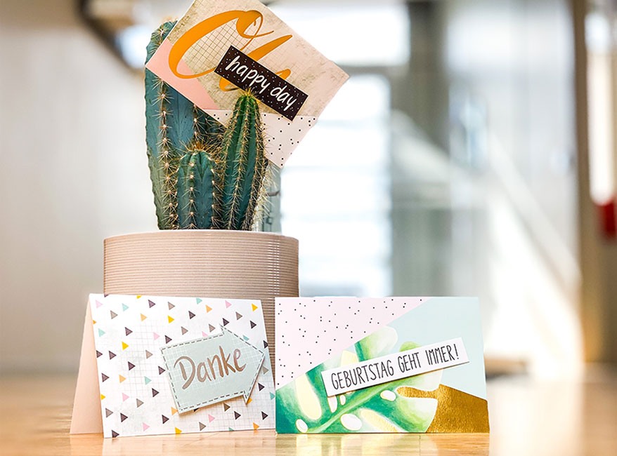 3 bunte Geburtstagskarten der Marke Hanra, 2 stehen vor einem Kaktustopf, eine ist in den Kaktus gesteckt.f einem Tisch, vor den Karten 2 Pinsel und eine Farbpalette
