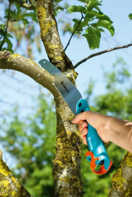 Hand sägt mit einer Gardena Astsäge einen Baumast ab.