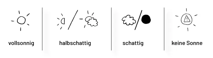 Übersicht von Pflanzensymbolen zu Lichtverhältnissen.