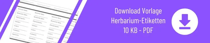 Grafik zum Download „Herbarium Etiketten Vorlage