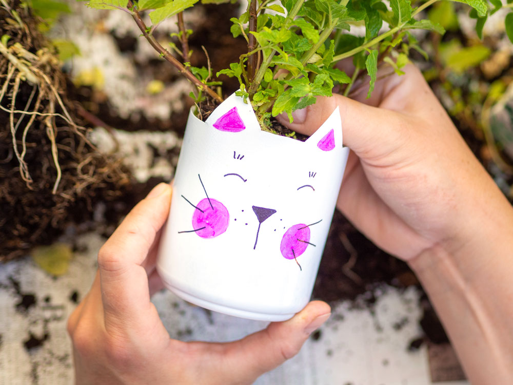 Eine Blechdose wurde als Katze gestaltet und wird bepflanzt