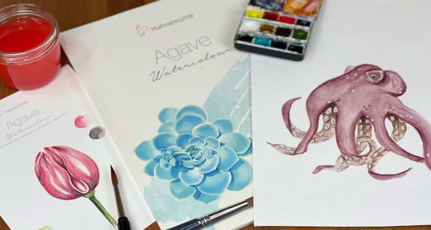 Auf einem Tisch liegen 3 Blöcke mit Künstlerpapier "Agave Watercolor" der Marke Hahnemühle. Ein Blockist aufgeschlagen, darauf ist ein Tintenfisch gemalt. Ein Aquarellkasten und ein Wasserglas sind außerdem zu sehen.