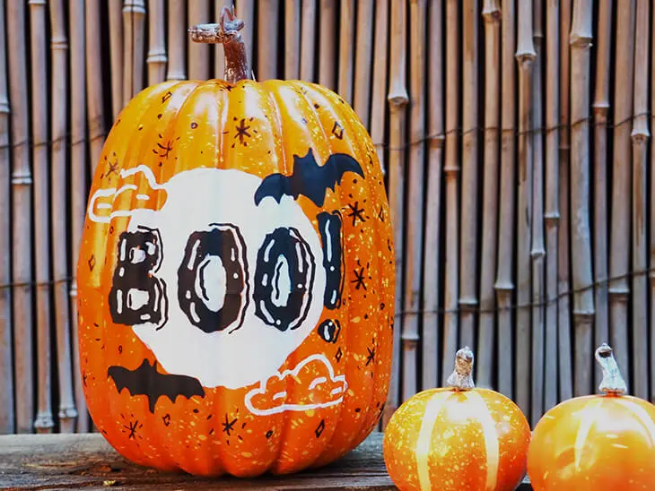 Kürbis auf den mit Markern von STAETDLER ein Halloween-Motiv gemalt wurde. Foto: Johanna Rundel