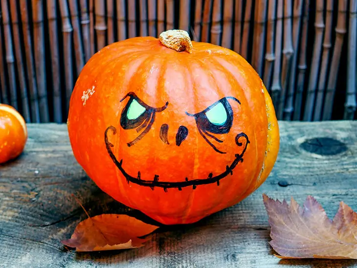 Kürbis auf den mit Markern von STAETDLER ein Halloween-Gesicht gemalt wurde. Foto: Johanna Rundel