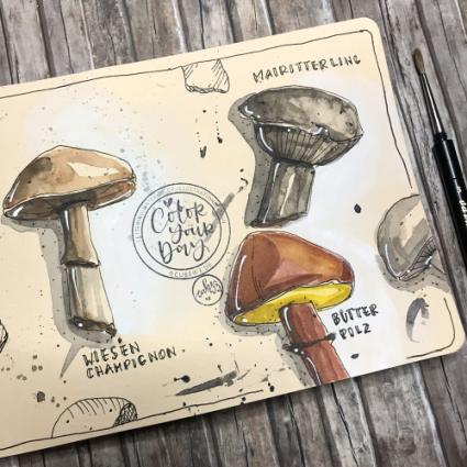 In das Toned Watercolour Book von Hahnemühle wurden verschiedene Pilze mit Aquarellfarbe gemalt. Rechts neben dem Buch ist ein Pinsel zu sehen. Das Buch liegt auf einem Holzboden.