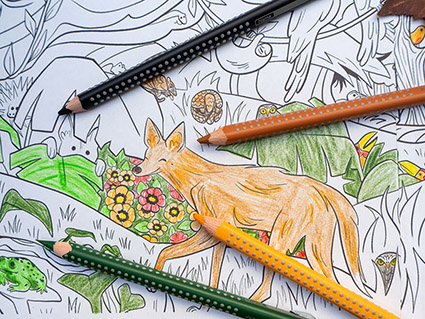 Ein großes Wimmel-Ausmalbild mit einem Waldmotiv. Es wurde schon teilweise mit den Grip-Buntstiften von Faber-Castell ausgemalt. Vier davon liegen auch auf dem Bild, in den Farben hellbraun, dunkelbraun, dunkelgrün und hellorange. Foto: Johanna Rundel