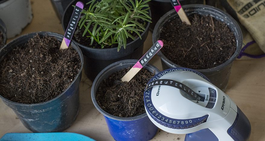 Eine Draufsicht auf verschiedene Pflanztöpfe mit Blumenerde darin. In den Blumentöpfen stecken Eisstiele, die bemalt wurden und mit einer Prägemaschine beschriftet wurden. Darauf ist zum Beispiel "Oregano" und "Petersilie" zu lesen. Im rechten Bildrand ist ein Prägegerät von Dymo zu sehen, aus dem ein geprägtes Band mit dem Wort "Kräuterliebe" zu sehen.