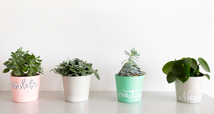 Auf einem Sideboard stehen aufgereiht vier kleine Topfpflanzen mit verschiedenen Sukkulenten. Auf den Töpfen in unterschiedlichen Pastellfarben sind mit Handlettering Namen kunstvoll geschrieben.  