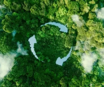 Ein Kreislauf mit Pfeilen in Bäumen.