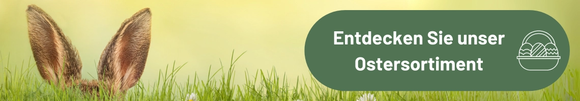 Hasenohren ragen aus einer Wiese. 