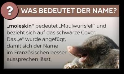 Grafik mit einer Definition zum Namen "Moleskine".