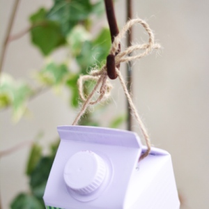 Nahaufnahme des oberen Teil der Milchtüte, die an einer Kordel im Garten aufgehängt ist.