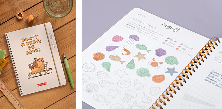 Notizbuch und kreativer Planer von Brunnen mit bunten Zeichnungen und Mood-Tracker auf einem Schreibtisch.