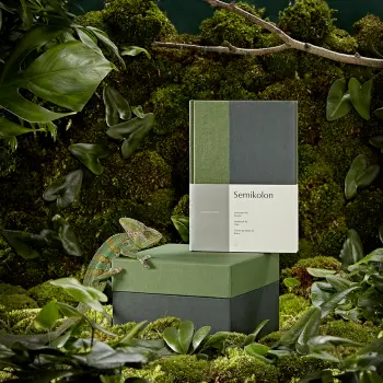 Ein Notizbuch und eine Box von Semikolon sind mit Chamäleon im Urwald inszeniert.