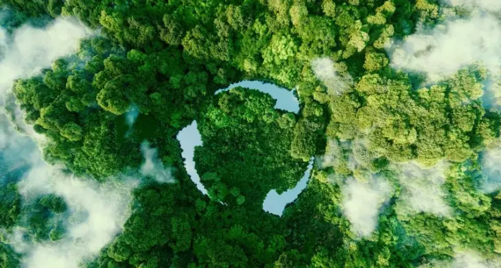 Wald von oben