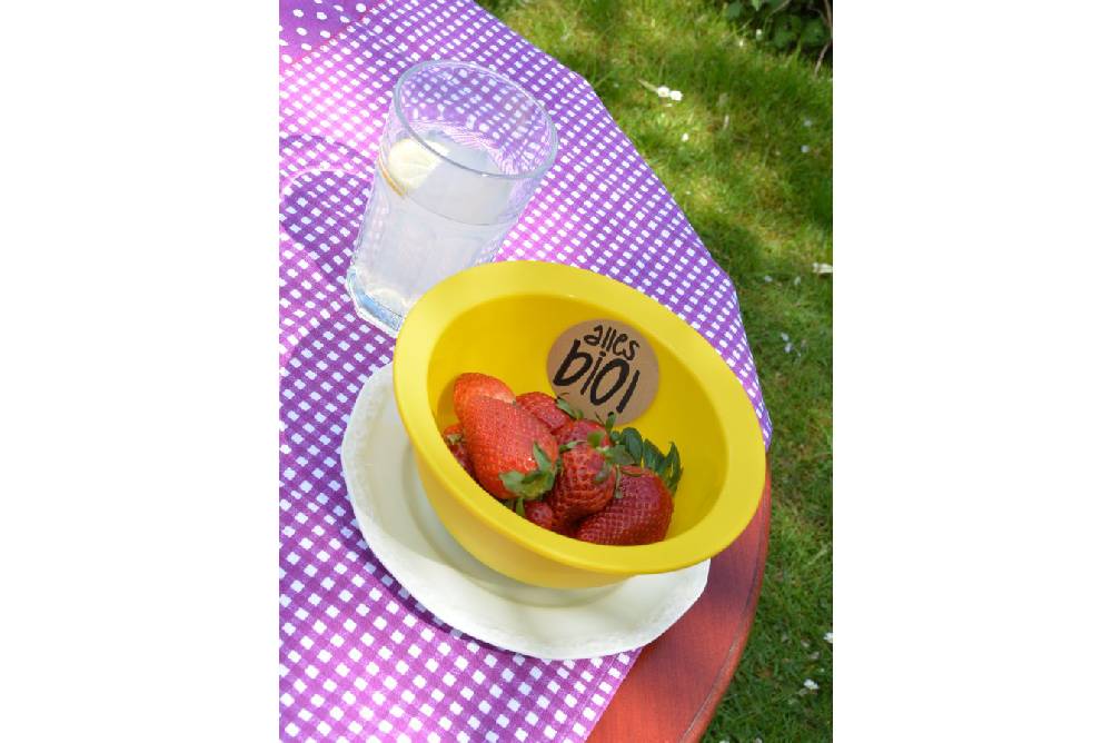 Auf einem Tisch im Garten steht eine gelbe Plastikschüssel, gefüllt mit Erdbeeren. Darin klebt ein Aufkleber mit der Aufschrift "alles bio".
