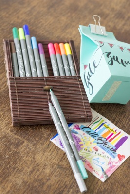 Brush Pens in diversen Farben