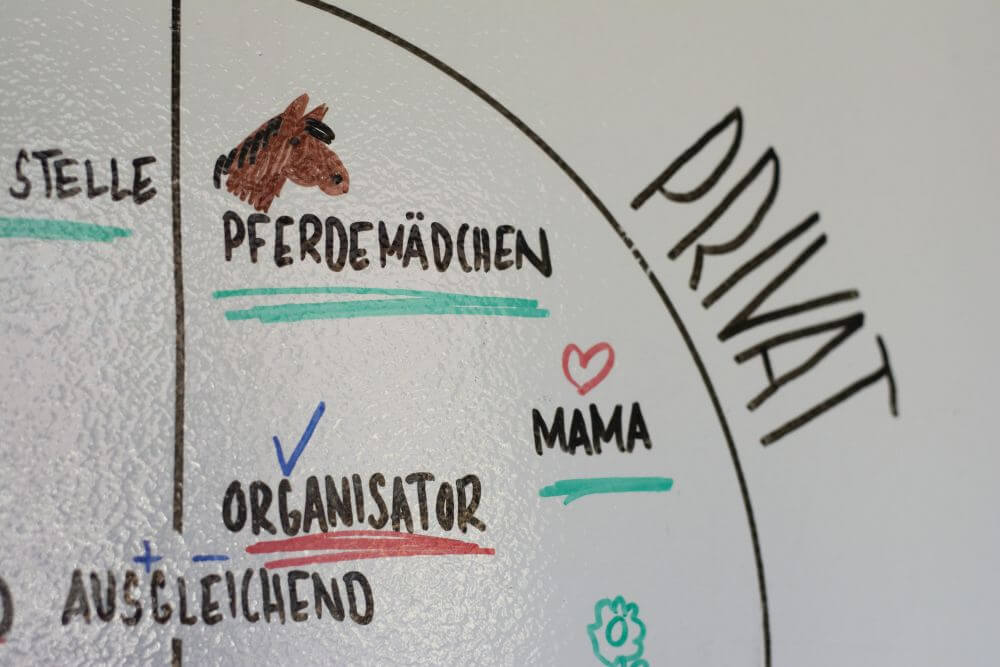 Detailaufnahme des 3-Welten-Modells nach Bernd Schmid: Teilbereich "Privat"