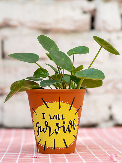 Auf einer rosa-weiß karierten Tischdecke steht ein Blumentopf aus Ton, der mit bunten Markern von Posca angemalt wurde. Auf dem Topf steht „I will survive“. Er ist mit einer Pilea-Pflanze bestückt. Im Hintergrund ist eine weiße Backsteinwand zu sehen. Foto: Johanna Rundel