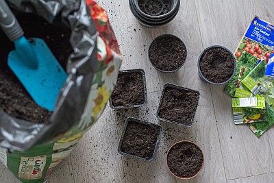 Auf weißem Parkett stehen verschiedene kleine Blumentöpfe, die mit Erde gefüllt wurden. In der rechten oberen Bildrand sind verschiedene Tüten mit Saatgut zu sehen. Links steht ein geöffneter Sack mit Blumenerde, in der eine blaue Schaufel liegt. 