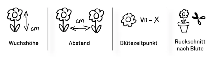 Pflanzen-Symbole deuten: Erklrung + Download | Trugge Onlineshop