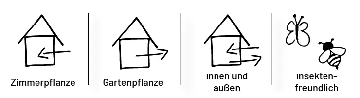 Pflanzen-Symbole deuten: Erklrung + Download | Trugge Onlineshop