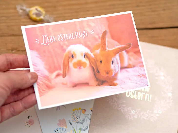 Jemand hält eine Postkarte mit einem Bild von zwei Hasen und dem Spruch „Liebe Ostergrüße“ in die Kamera. Foto: Johanna Rundel