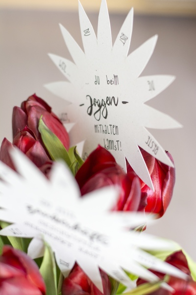 Nahaufnahme: Papierstern mit Spruch steckt im Tulpenstrauß