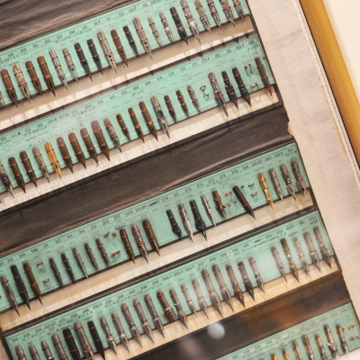 Viele unterscheideliche Stahlfedern liegen aufgereiht nebeneinander.