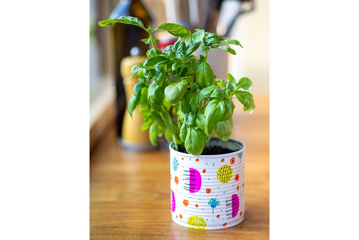 Bunt bemalte Blechdose mit Basilikum drin