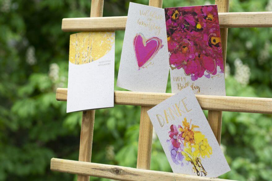 Verschiedene Glückwunschkarten zum Geburtstags von ABC Cards hängen an einem Rankgitter.