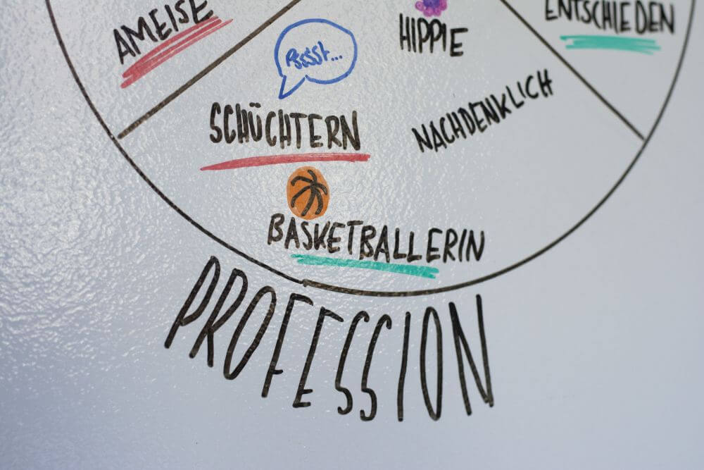 Detailaufnahme des 3-Welten-Modells nach Bernd Schmid: Teilbereich "Profession"