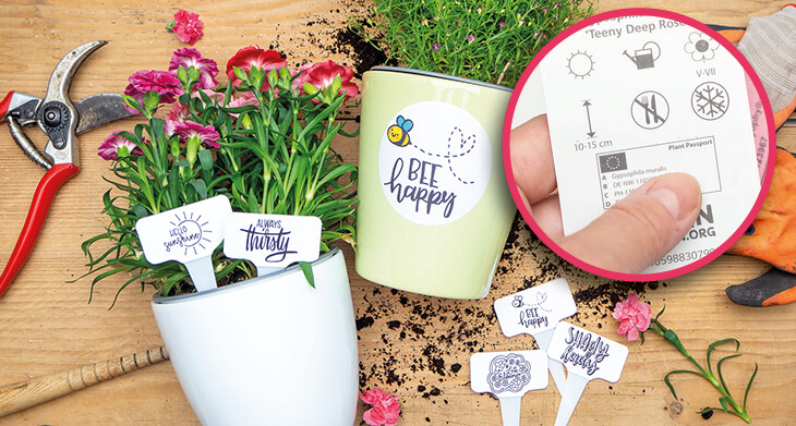 Übersicht von Pflanzensymbolen zu Wuchshöhe, Abstand, Blütezeitpunkt und Rückschnitt.